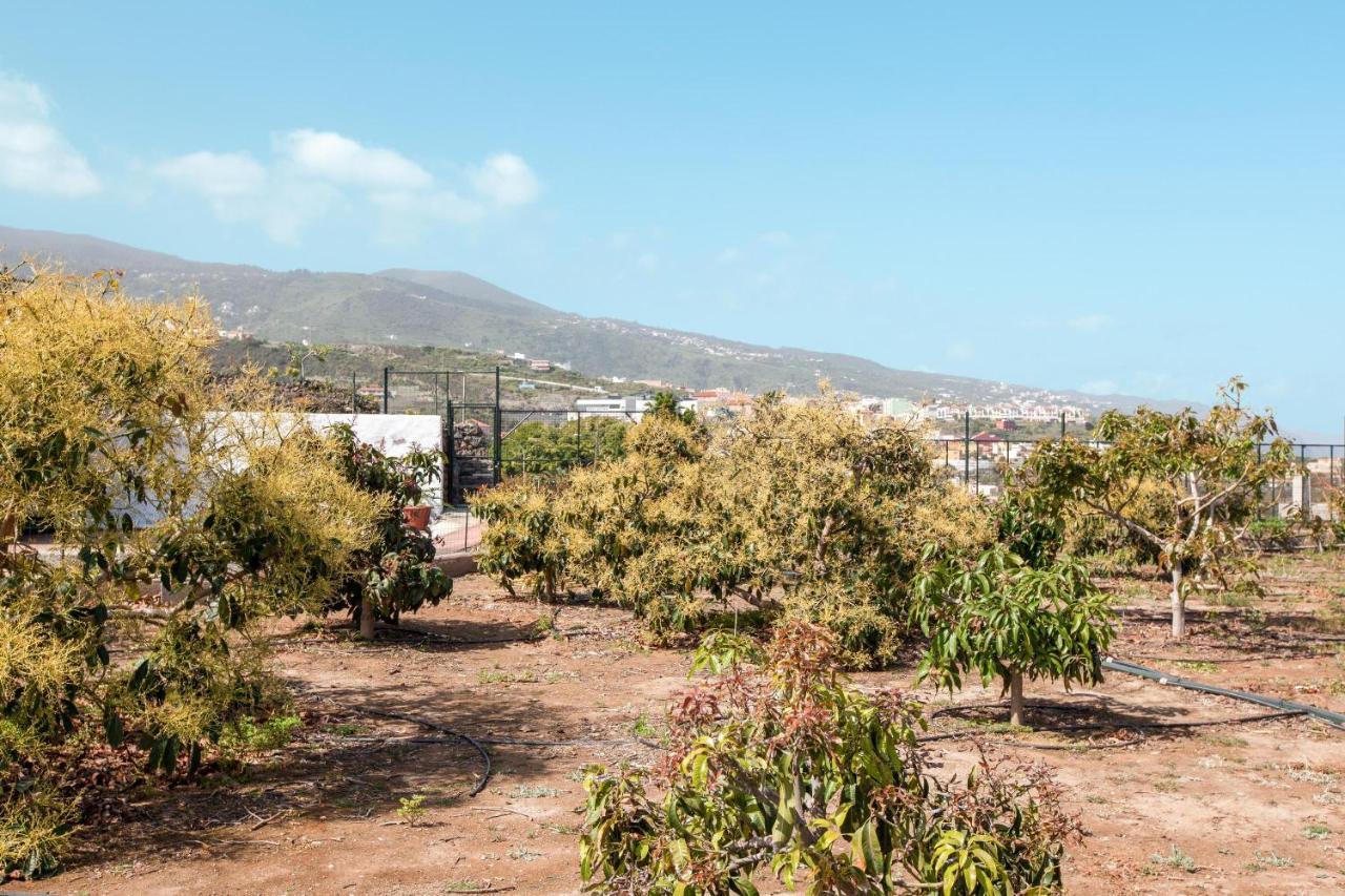 伊科德·德·洛斯·维诺斯Casa Quemahierro 2别墅 外观 照片
